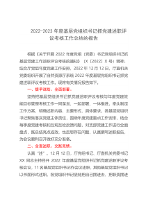 2022-2023年度基层党组织书记抓党建述职评议考核工作总结的报告