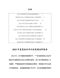 2022年度党组织书记抓党建述职报告共10篇