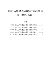 2022年人大代表建议办理工作总结汇编5篇镇乡街道
