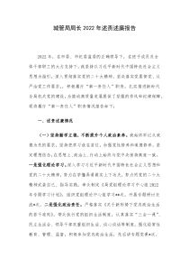 城管局局长2022年述责述廉报告