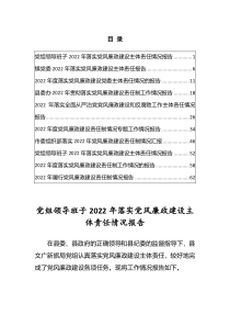 党组领导班子2022年落实党风廉政建设主体责任情况报告共10篇