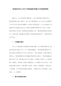 党组织书记2022年抓基层党建工作述职报告
