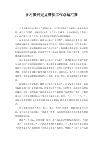 范文2023年乡村振兴定点帮扶工作总结汇报