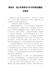 范文副县长县公安局局长2022年述职述廉述法报告