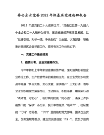 非公企业党委2022年抓基层党建述职报告
