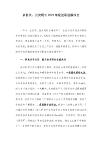 副县长公安局长2022年度述职述廉报告