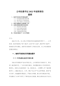 公司纪委书记2022年述职报告