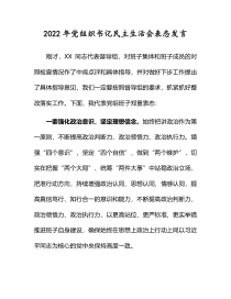 2022年党组织书记民主生活会表态发言