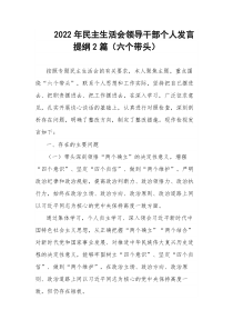 2022年民主生活会领导干部个人发言提纲2篇