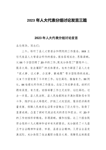 2023年人大代表分组讨论发言三篇