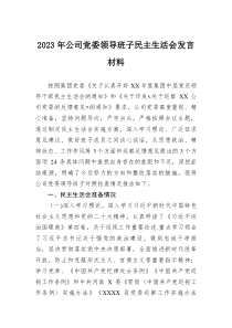 党委领导班子民主生活会发言2023年公司党委领导班子民主生活会发言材料