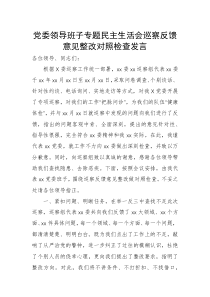 党委领导班子专题民主生活会巡察反馈意见整改对照检查发言