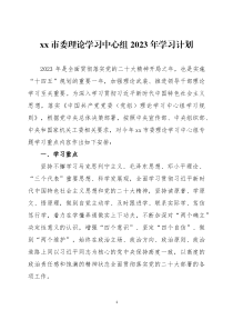 党委理论学习中心组2023年学习计划三篇