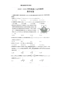 2022-2023学年湖北省武汉市江岸区2023届高三元月调考数学试卷含答案