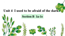 Unit4Iusedtobeafraidofthedark.SectionB1a-1e课件2022-2023学年人教版英语九年级全册