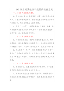 XXX同志对其他班子成员的批评意见
