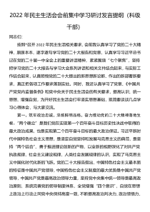 2022年民主生活会会前集中学习研讨发言提纲科级干部