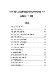 2022年民主生活会查找问题示例集锦16大方面375条