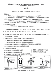 2023年1月岳阳市高2020级2023届高三高考一模化学试卷及答案全网首发