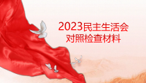 2023民主生活会对照检查材料PPT党课课件