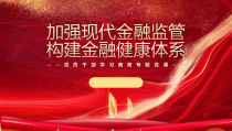 加强现代金融监管构建金融健康体系PPT课件