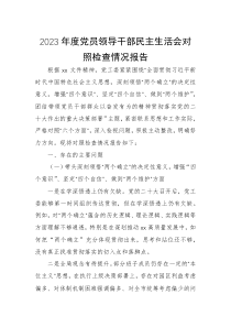 2023年度党员领导干部民主生活会对照检查情况报告