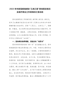 2023年乙类乙管贯彻落实情况及医疗救治工作其情况总结