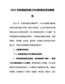 2023年抓基层党建工作述职暨述责述廉报告