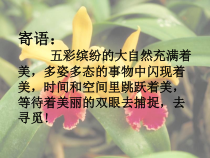 21.2《阅读与思考 黄金分割数》PPT课件2-九年级上册数学部编版