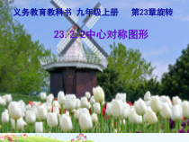 23.2.2《中心对称图形》PPT课件5-九年级上册数学部编版