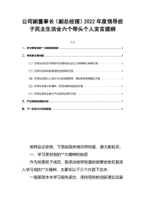 公司副董事长副总经理2022年度领导班子民主生活会六个带头个人发言提纲