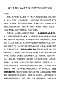 领导干部在2022年民主生活会上的点评讲话