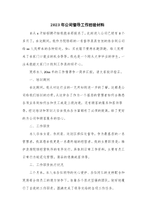 2023年公司督导工作经验材料
