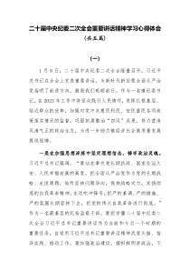 2023年二十届中央纪委二次全会重要讲话精神学习心得体会共五篇