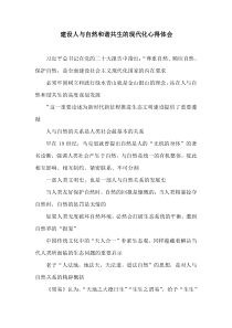 建设人与自然和谐共生的现代化心得体会多篇