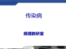 医学精品课件结核