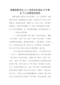 某镇党委书记2023年民主生活会六个带头个人对照发言材料