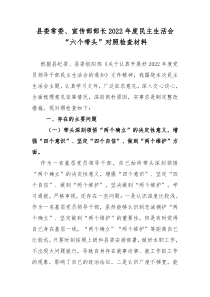 县委常委宣传部部长2022年度民主生活会六个带头对照检查发言材料