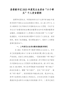 县委副书记2023年度民主生活会六个带头个人发言提纲
