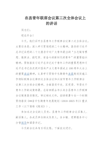 在县青年联席会议第三次全体会议上的讲话
