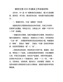 镇党支部2023年建设工作经验材料