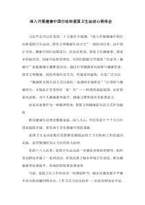 深入开展健康中国行动和爱国卫生运动心得体会