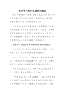 学习中央经济工作会议精神心得体会