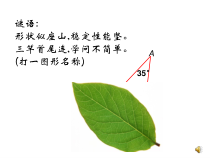 11.2.1（1）《三角形的内角》PPT课件2-八年级上册数学人教版