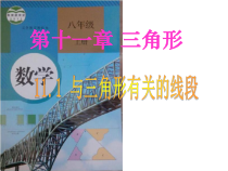 11.1.1《三角形的边》PPT课件7-八年级上册数学人教版