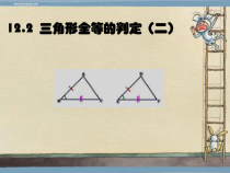 12.2.2《“边角边”判定三角形全等》PPT课件2-八年级上册数学人教版