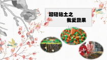 六年级下册浙科课标版（2015）2.1《校园“绿岛”创意设计》课件