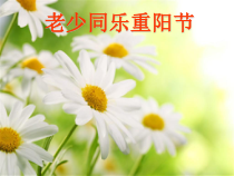 五年级上册浙科课标版（2015）3.1《老少同乐重阳节》课件