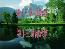 13.1.1《轴对称》PPT课件2-八年级上册数学人教版