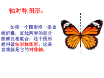 13.1.1《轴对称》PPT课件5-八年级上册数学人教版